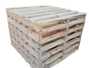 Mẫu pallet 01