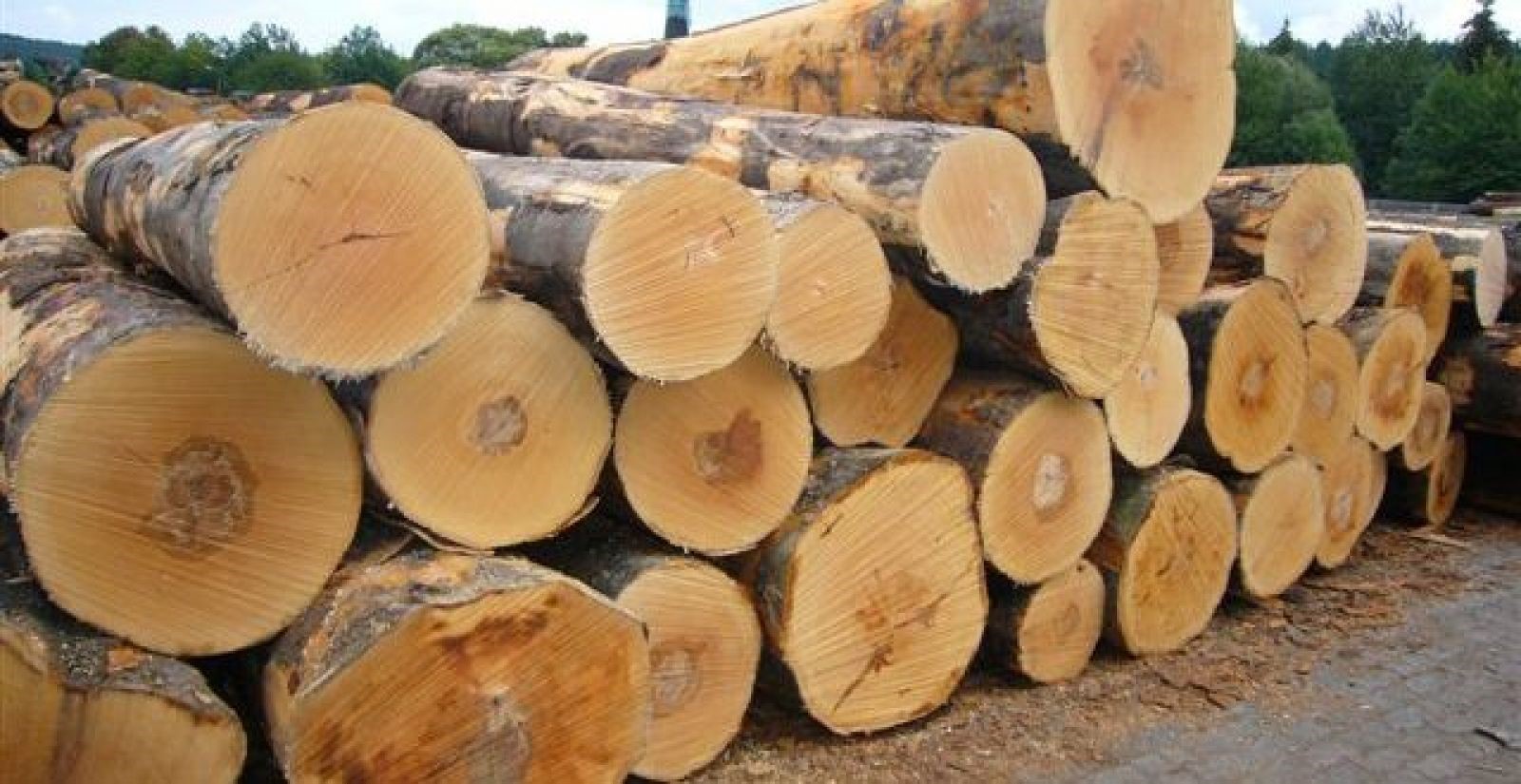 Nội thất mộc mạc, thanh lịch với pallet gỗ